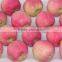 2015 new crop fresh red star apples fruit