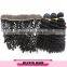 Double weft bohemian jerry curl hair human hair weaving