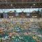 Indoor fiberglass water slide water park equipment