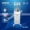 Best price cryolipolysis device , fat freeze device