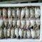 Chinese Factory Best Quality Crab