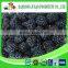 Berries Product Frozen Blackberry Grade A