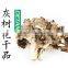 Best selling organic Dried Maitake Mushroom