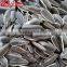 Long Type Hulled sunflower seeds Market Price