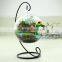Clear Glass Vase Globe Glass Landscape Bottle Beautiful