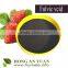 humic acid and fulvic acid liquid npk fertilizer,fulvic acid