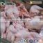 Halal Poultry Slaughtering Equipment Machine Slaughterhouse Plant