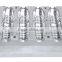 2L Auto PET Bottle Blowing Machine