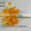 artificial gingko leaves with beautiful yellow color for indoor decoration