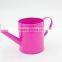 Hot sale metal garden watering pot