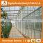 Hot Sale Trade Assurance Factory Price Multi Span Venlo Type Glass Greenhous for Vegetables
