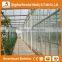 Hot sale trade assurance factory price multi span venlo type glass greenhous for vegetables