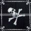 wholesale cheap custom bandana printing skull bandana FGB-1002