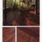 plastic flooring sheet tiles glue down 2.0mm thickness 0.2mm wear layer
