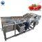 Fruit vegetable washing production line