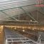 Bolivia Brooding Room - H Type Automatic Chicks Cage & Pullet Cage with Poultry Climate Control System