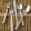Stainless Steel Cutlery Set, Set of Two Spoons, Two Forks and One Paster
