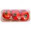 Bagasse food Tray for vegetable 21CM Biodegradable Compostable Rectangle Sugarcane Pulp