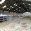 China Steel Structure Prefabricated Metal Shed Cattle Building