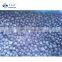 Sinocharm ISO Certified Wild Culticated Fresh Sweet Organic IQF Frozen Blueberry