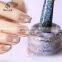 High Brightness Color Shift Magnetic Holographic Powder for Painting Nail Art without Base Film