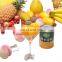 CHINA Factory fruit juice machine  fresh fruit juice production line used for fruit processing