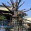 6M Custom Windproof Fiberglass Banyan Tree & Olive Tree - Luxury Hotel Lobby & Theme Park Centerpiece, ECO Certified
