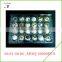 Wholesale PVC PET plastic 24Holes quail egg tray packaging