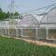 Winter Greenhouse With Film Coverage