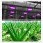 Greenhouse Led Flower Light for Growing Tomato, Lettuce, Vegetable, Flower, Orchid, Medicinal Plants