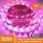 12V 24V 5050 rgb led controller programmable led pixel tape light