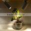 2016 adjustable spot light or wall light fixture