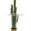 High Quality Decorative artificial cactus