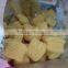 extruder for puffed snacks
