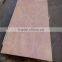 natural okoume veneer board / board veneer