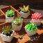wholesale artificial mini succulent flower plants, mini flower bonsai