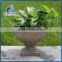 outdoor garden decoration big fiberglass flower vase bonsai pot