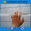 2016 Hot Sale Anti-Climb High Security 358 Fence