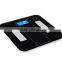 Electronic body fat scale