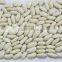 white kidney beans Baishake type for sale