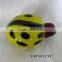 great glass ladybird