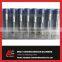 Fuel injection engine injector nozzle Bosch injector nozzle DLLA 152P865 common rail injector nozzle