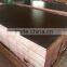 18-ply board 18mm failm faced plywood Manufacture from linyi Shandong