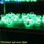 Romantic DMX SMD5050 led flexible strip for holiday