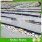 Unique Pattern Gray Basalt Stones For Sale