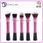 High quality Beauty girl 5pcs cheap Cosmetic Makeup Brush Set