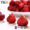 TTN 2016 Halal Snacks Freeze Dried Strawberry  China Supplier