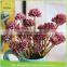 for Mason jar , geometric glass terrarium , vase , pot , wedding table flower centerpiece Mini succulent walls artificial plant