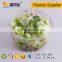 Eco Friendly PET disposable plastic vegetable and fruit salad packaging