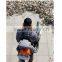 BOTH EPA and EuroII Certificated EB650 Backpack wind sweeper Back pack leaf blower